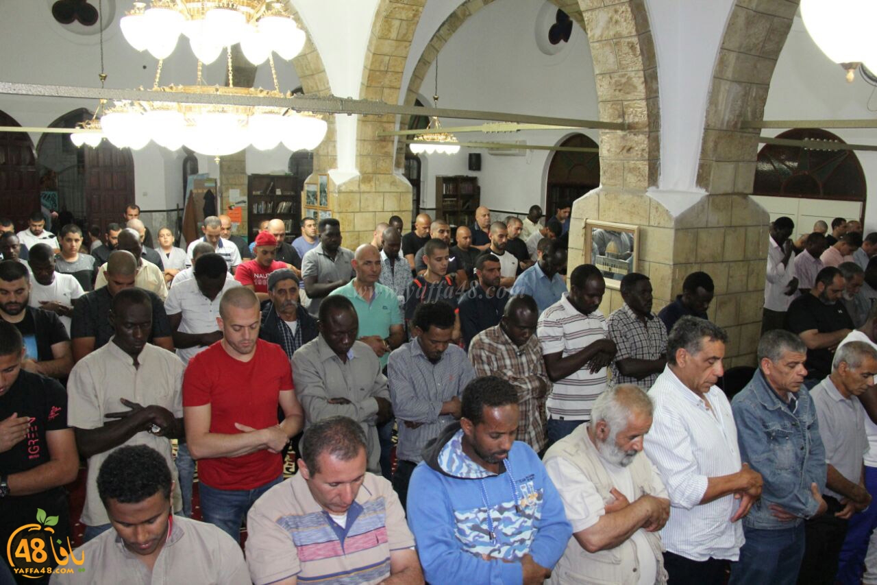 trawe7 salahsaj (25).jpg